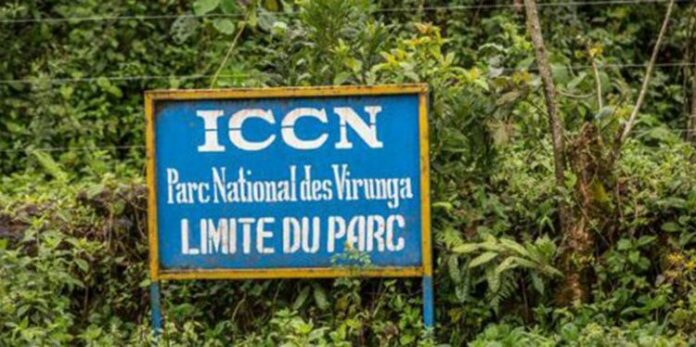 Nord-Kivu: La société civile exige la protection contre les violences M23 au parc national des Virunga