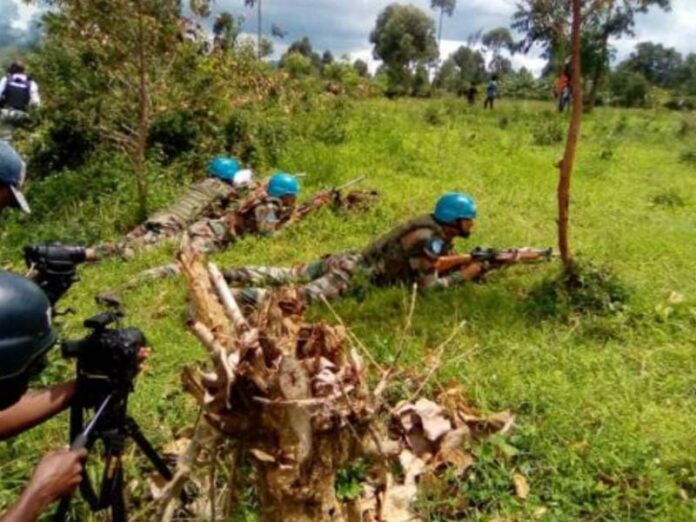 Nord-Kivu : Opération Springbok et Casques bleus sous le feu des critiques