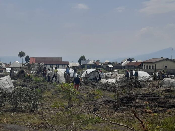 Province du Nord-Kivu : Une Lueur d'Espoir Embaume le Masisi, Rutshuru et Nyiragongo