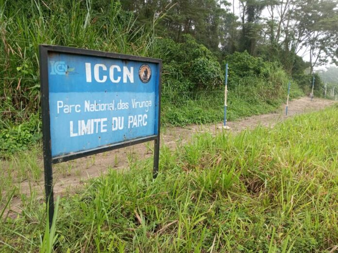 Nord-Kivu: Massacre Brutal de Quinze Personnes par les Rebelles du M23 dans le Parc National de Virunga