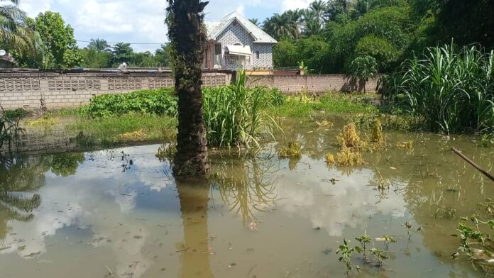 Kinshasa: Les inondations dévastent le quartier CPA-Mishie