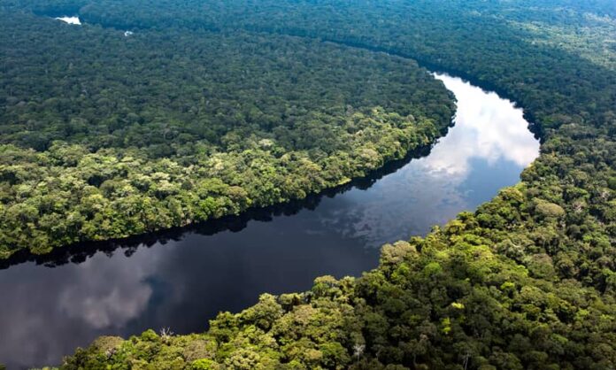 Kinshasa : Lancement des préparatifs pour la création de l'Institut du Bassin du Congo dédié à l'économie du climat