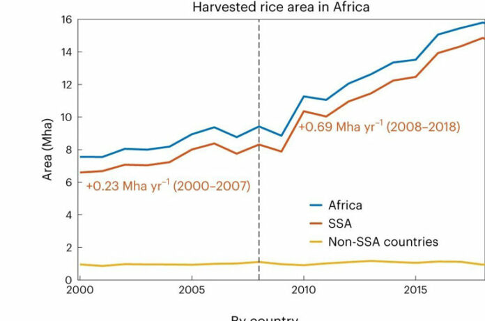 RDC: L'augmentation de l'agriculture du riz en Afrique contribue à l'augmentation des émissions de méthane