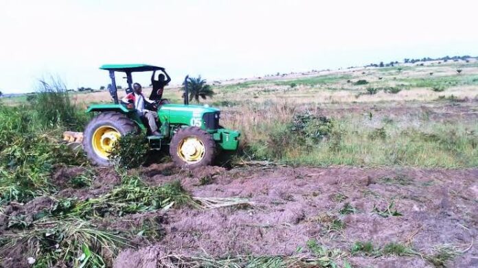 Kasaï-Oriental : une offensive agricole en marche pour vaincre l'insécurité alimentaire