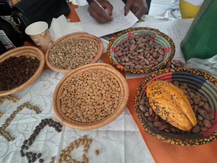 Nord-Kivu : La vente anarchique du cacao interdite, des mesures strictes réaffirmées