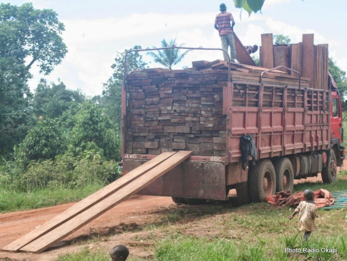 Trafic de bois: L'Ouganda pille-t-il les richesses forestières de la RDC?