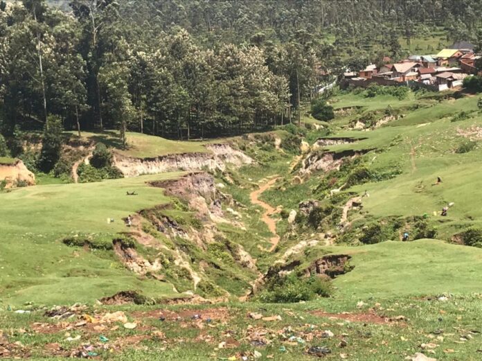 Érosion ravageuse à Butembo : un quartier dévasté et un cri d'alerte