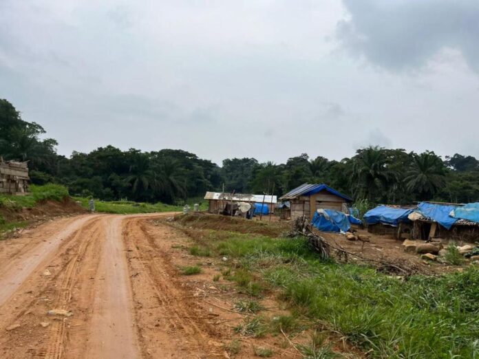 Route Eringeti-Kainama : La menace d'isolement grandit face aux attaques des ADF