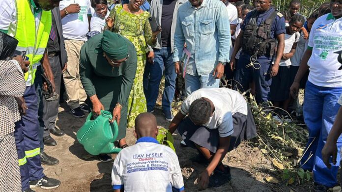 Journée de l'arbre : la RDC se positionne en leader mondial de l'écologie